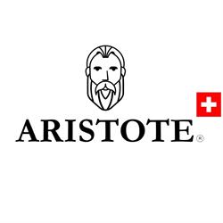 Aristote Concept Delémont