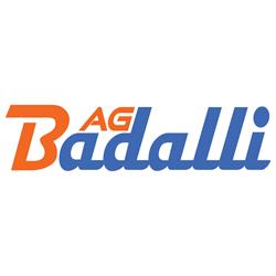 Badalli AG Fassaden Gipsen Malen