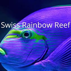 Swiss Rainbow Reef AG