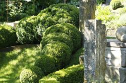 Fischer Garten- und Landschaftsarchitektur AG