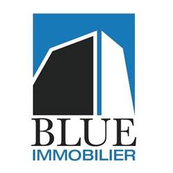 Blue Immobilier SA