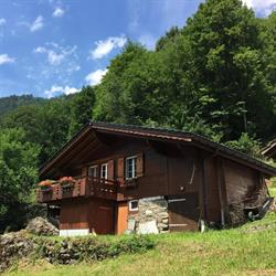 Chalet Julian