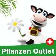 Pflanzenoutlet Swissflair AG