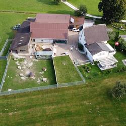Hundebetreuung Kessler