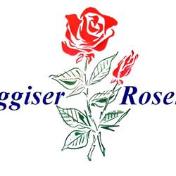 Weggiser Rosen Pfrunder
