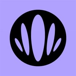 Kingfluencers