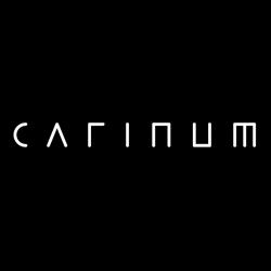 Carinum AG
