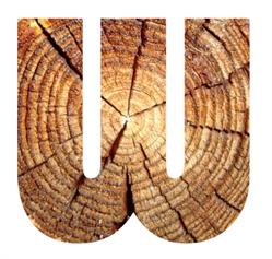 WOOD CONCEPT RETO BREU