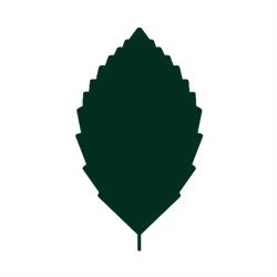 erlenvelo