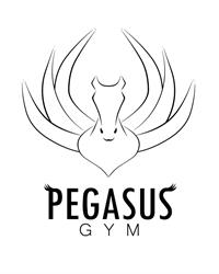 Pegasus Gym