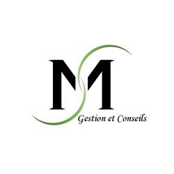 MS Gestion et Conseils