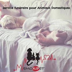 Memoripet.ch - Pompes funèbres pour animaux