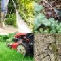 Gartenunterhalt