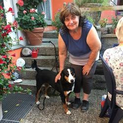 Hundesalon Schnäuzli