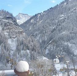 Bed & Breakfast Edelweiss