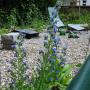 Natur&Garten Philippe Wyss 1