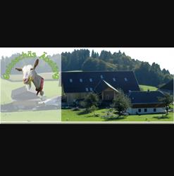 Geissechäs Äbeläng