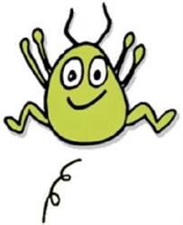La Puce Verte