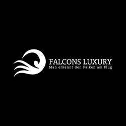 Falcons Luxury Services GmbH