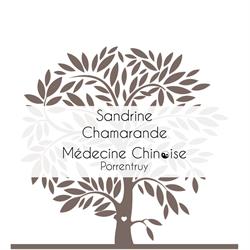 Acupuncteur MTC Sandrine Chamarande