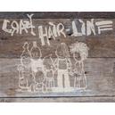 crazy hair-line gmbh