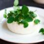 Espro Sprossen, Piso-Cress