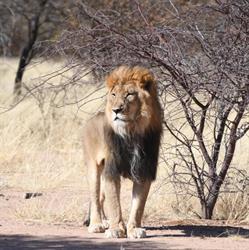 Namibia Reisen