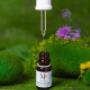Marry Jane Niederdorf | CBD Shop
