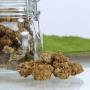 Marry Jane Niederdorf | CBD Shop