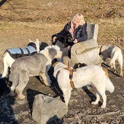 Claudias-Animalcare Tierbetreuung