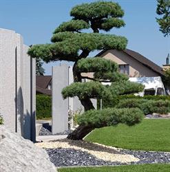 Garten-Design