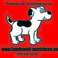 Hundewelt-Zürichsee