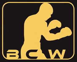 Boxclub Wil