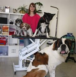 Hundesalon Fyn