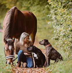 Relaxed Dogs - www.relaxed-dogs.ch