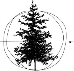 PINE Altdorf