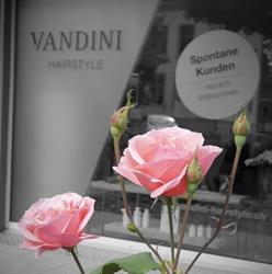 Vandini Hairstyle