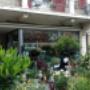 Appenzeller GmbH Blumenboutique