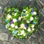 Appenzeller GmbH Blumenboutique
Blumenbinderei, Trauer Kranz