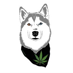Yagmur FloraWorld