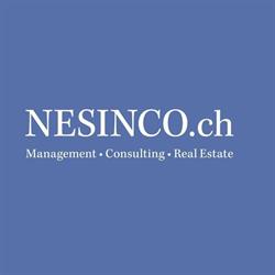 NESINCO Management Ltd.