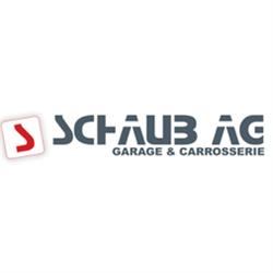 Schaub AG Möhlin