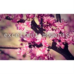 excellent moments