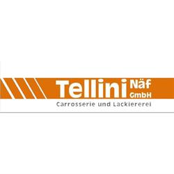 Tellini Näf GmbH