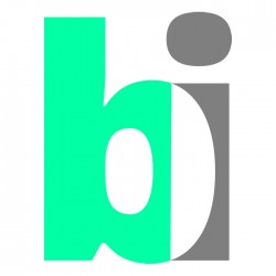 Bolliger Immobilien