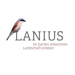 Lanius GmbH