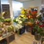 Saisonale Schnittblumen