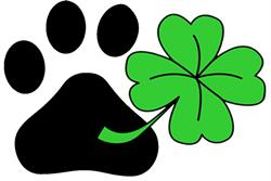 Pfotenglück Hunde- und Katzenfressnäpfe, Maltipoo Hobbyzucht