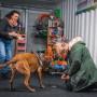 Cours Canins - Création Pile Poil
