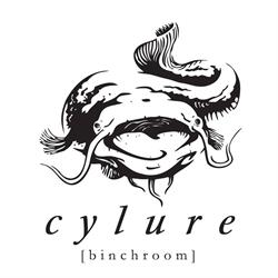 Cylure Binchroom Lausanne